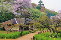 大倉山公園