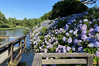 早水公園