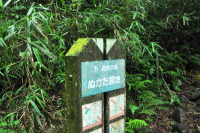 府民の森 ぬかた園地