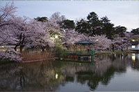 大宮公園