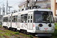招き猫電車